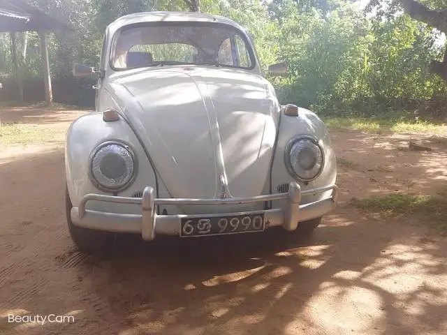 volkswagen-beetle-for-sale-in-Kurunegala-sri-lanka